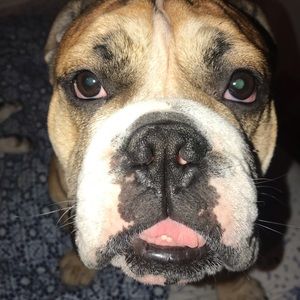 Meet your Posher, Jacquie